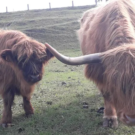 Ma Rose Des Lumieres Maison Indépendante 6 Personnes Avec Grande Cour Сasa de vacaciones