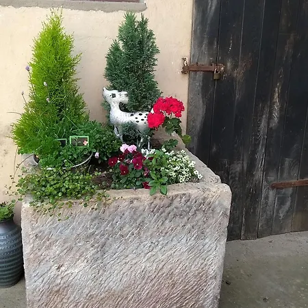 Ma Rose Des Lumieres Maison Independante 6 Personnes Avec Grande Cour *