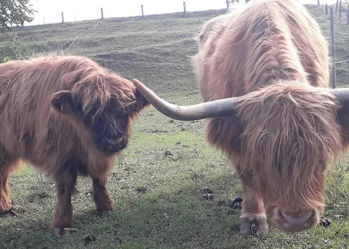 Ma Rose Des Lumieres Maison Independante 6 Personnes Avec Grande Cour Prázdninový dům