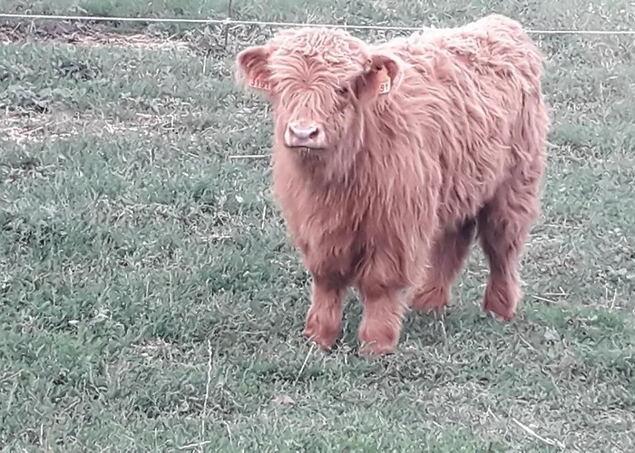 Ma Rose Des Lumieres Maison Independante 6 Personnes Avec Grande Cour Prázdninový dům